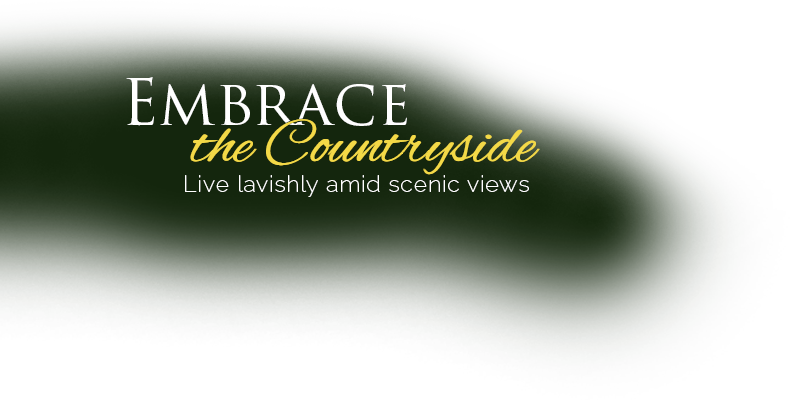 Banner-text - Pune (790x400), Png Download