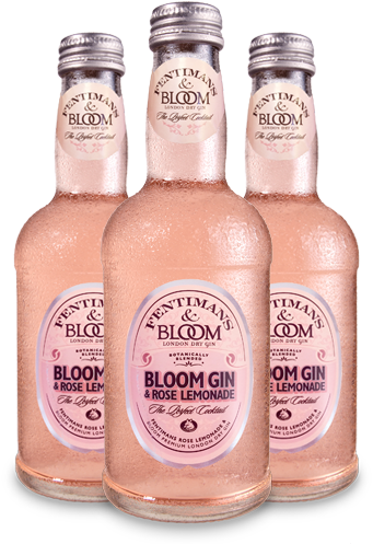 Rose Lemonade & Bloom Gin - Fentimans Bloom Gin & Rose Lemonade (341x497), Png Download