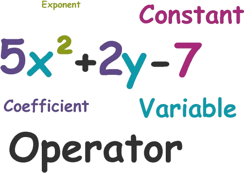 Parts Of Polynomial - Variable In A Polynomial (502x356), Png Download