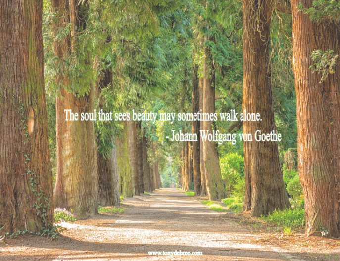 0 Replies 0 Retweets 0 Likes - Acer Iconia Tab 11.6" Full Hd Wifi Tablet Intel I5-3337u (687x527), Png Download