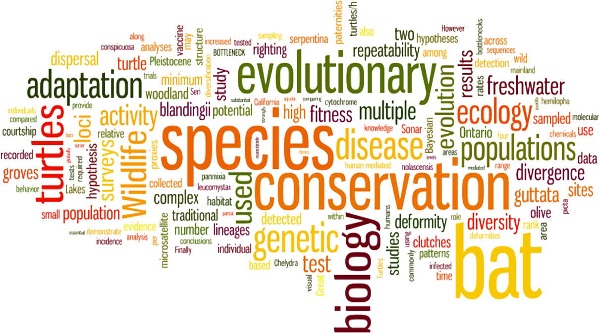 Conservation Biology, Molecular Ecology And Population - Words (1250x691), Png Download