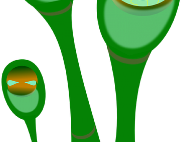 Eye (640x480), Png Download