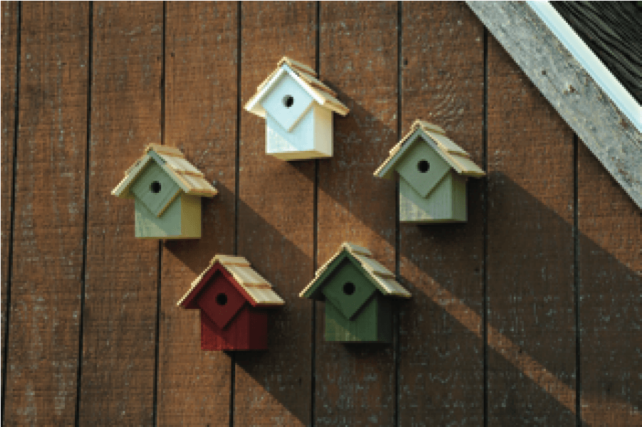 Heartwood Summer Home Birdhouse Set - Heartwood - Summer Home Birdhouse Set (heart) (900x900), Png Download