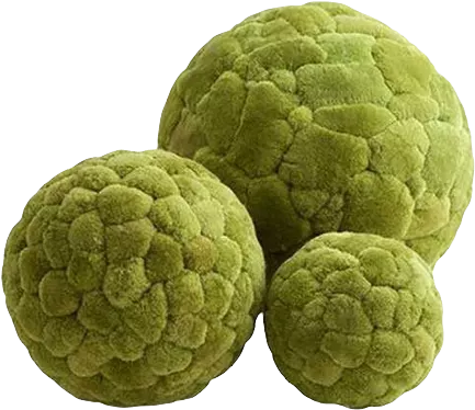 Diameter (445x385), Png Download