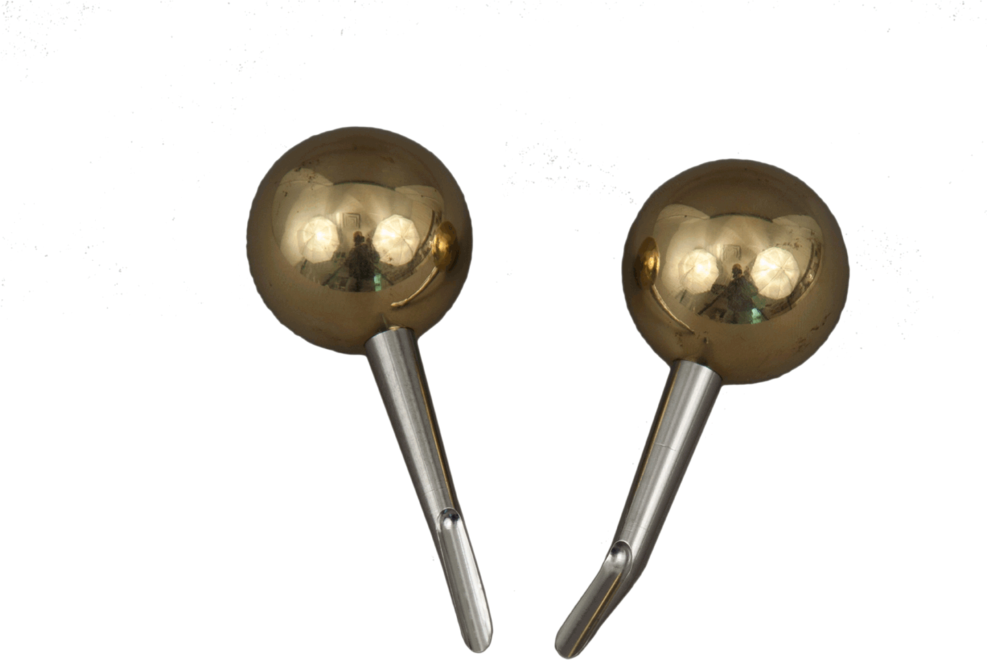 Martell Wolf Tooth Elevators - Wolf Tooth (1440x1152), Png Download