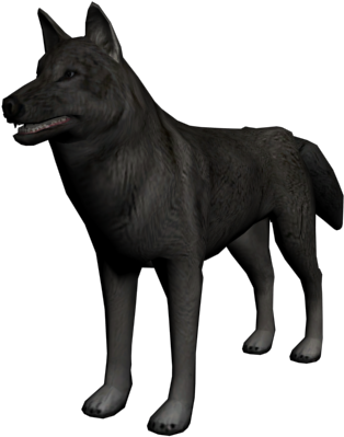 Wolf - Red Dead Redemption Wolf (640x480), Png Download
