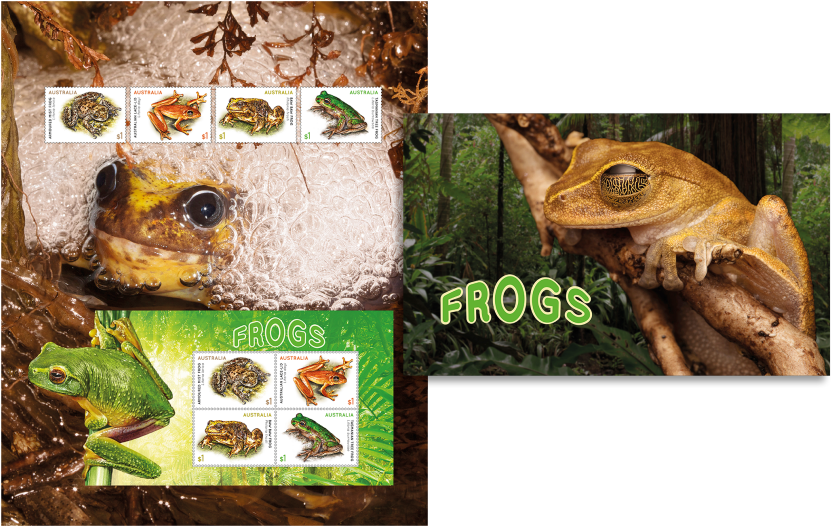 Stamp Pack Stamp Pack - Rainforests By Mike Clark 9781786371683 (hardback) (970x545), Png Download