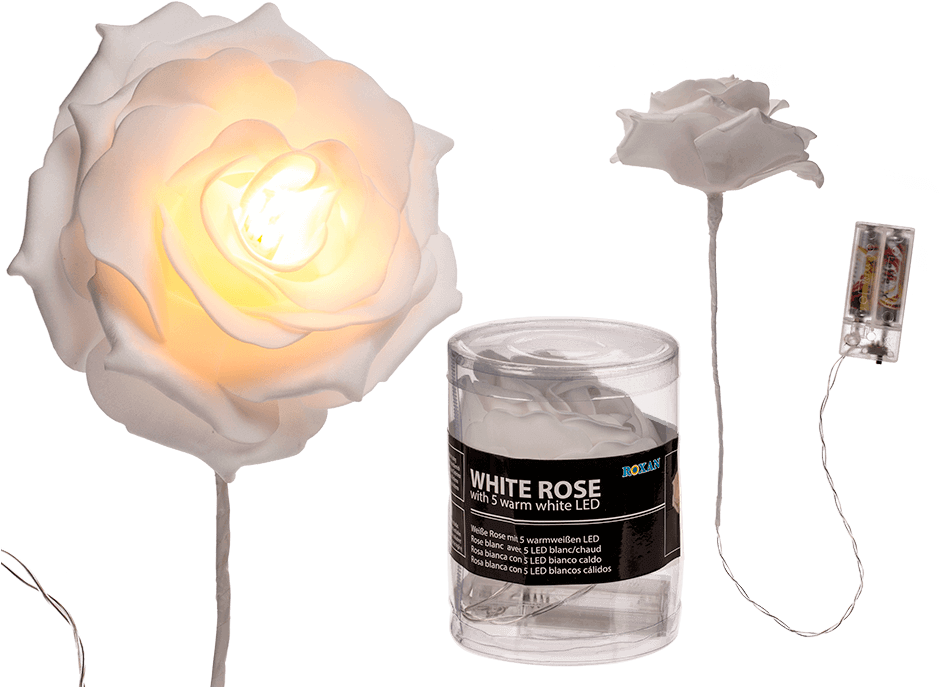 Garden Roses (945x709), Png Download