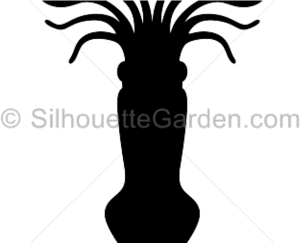 Squid Clipart Head - Silhouette (640x480), Png Download