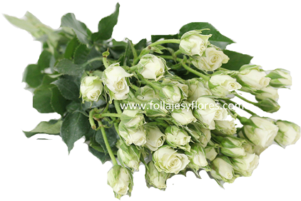 Entregas - Mexico City (600x400), Png Download