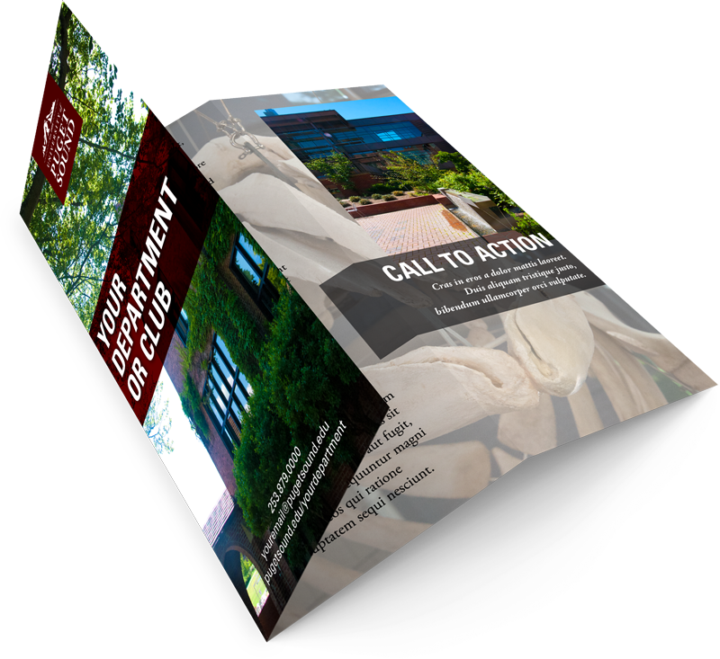 Brochures - Brochure (800x733), Png Download