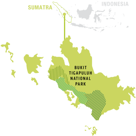 Remaining Forest In Thirty Hills - Atlas (490x500), Png Download