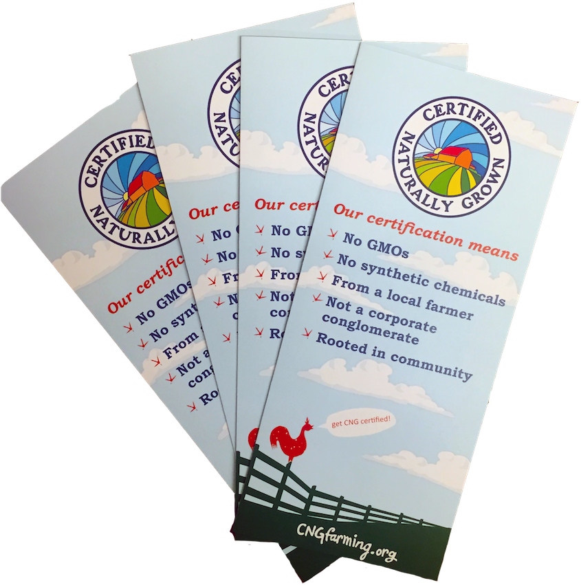 Brochures (900x900), Png Download