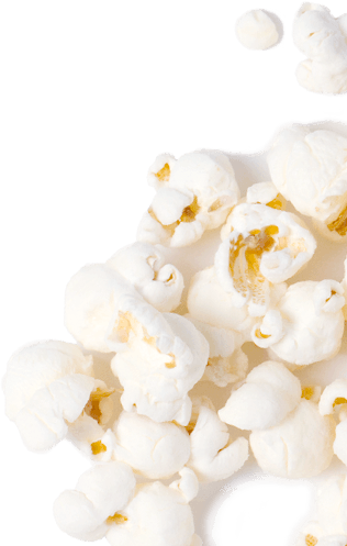 Products - Lily Of The Valley (316x497), Png Download