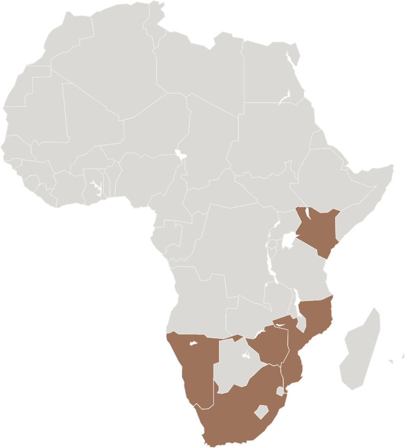 Africa Compton (812x899), Png Download