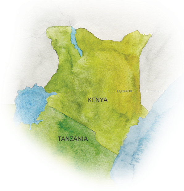 East Africa Map - East Africa (595x627), Png Download