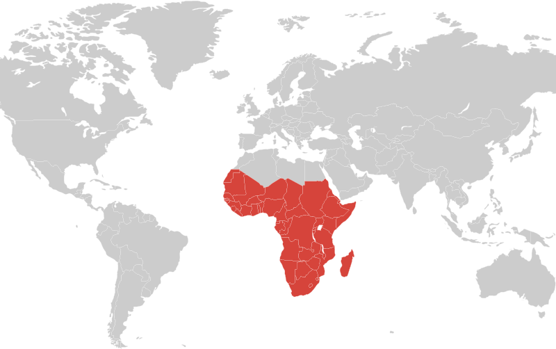 Map World Africa - World Map With South Africa (800x502), Png Download