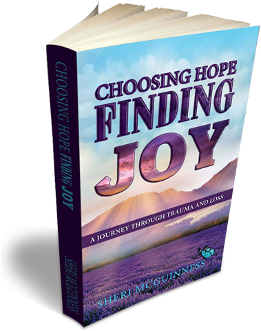 3d Book Cover For Choosing Hope Finding Joy Sheri Mcguinness - Choosing Hope, Finding Joy: A Journey Through Trauma (394x500), Png Download