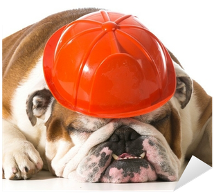 Bulldog Fireman (400x400), Png Download