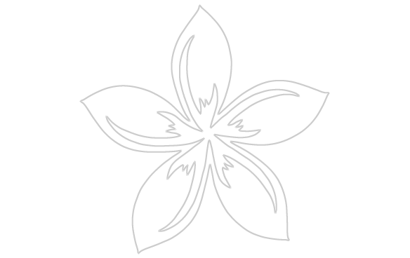 Regular Plumeria $4 - Black And White Plumeria Flowers (584x368), Png Download