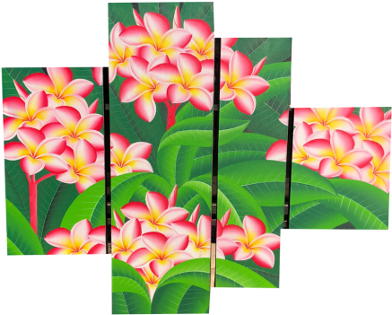 Panel Plumeria Flower Painting - Frangipani (500x350), Png Download