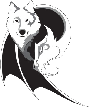 Picturewolfdragon - Wolf & Dragon Throw Blanket (400x400), Png Download