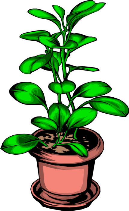 Vector Illustration Of Potted Plant - Gardens: History, Gardening And Plant Science (429x700), Png Download