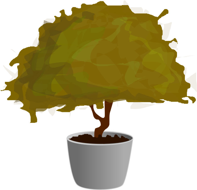 Free Vector Planta / Plant - Clip Art (800x776), Png Download