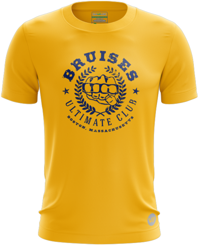 Bruises 2018 Dark Jersey - Lebron James Lakers T Shirt (600x600), Png Download