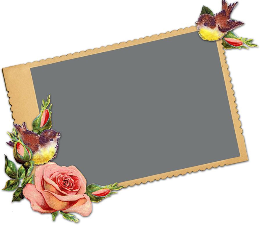 You Can Click Here To - Vintage Bird Clip Art (934x791), Png Download