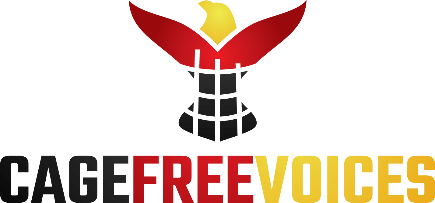 Emblem (1521x767), Png Download