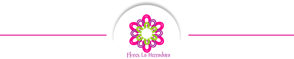 Contacto - Flores De Mexico Png (960x194), Png Download