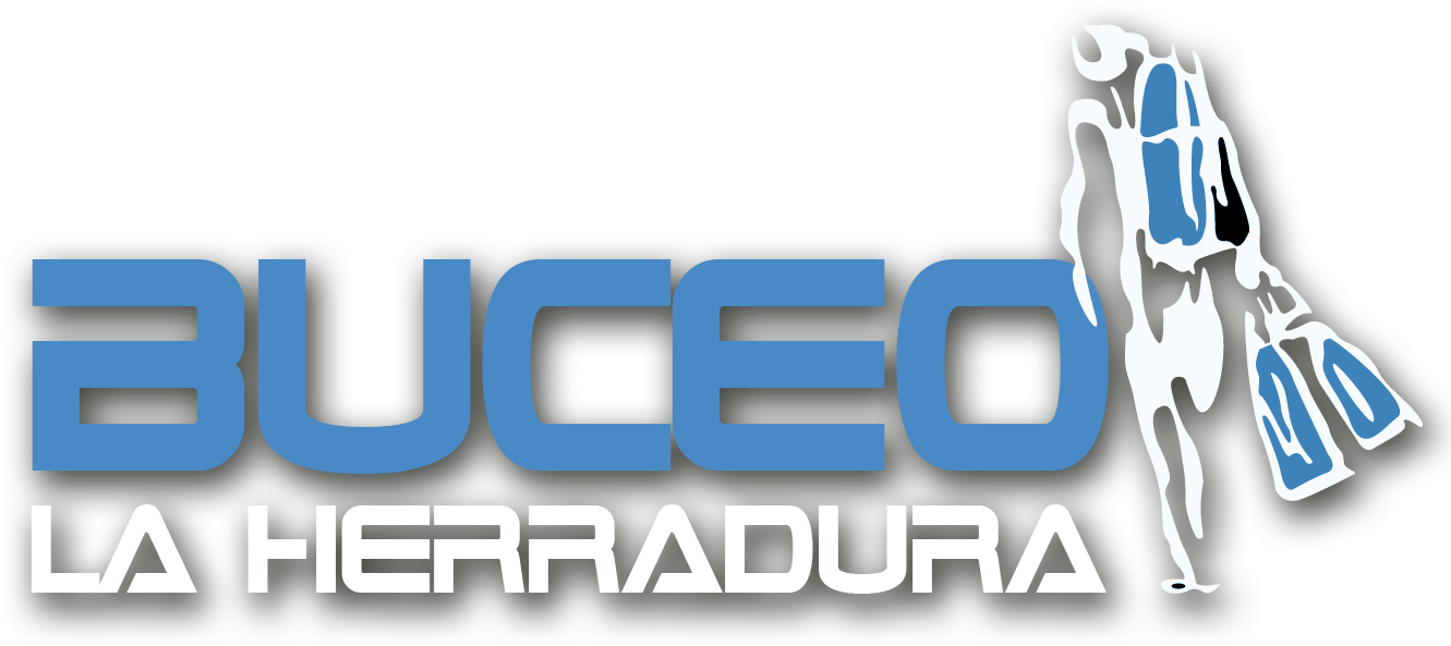 Buceo La Herradura - Diving La Herradura (1417x709), Png Download