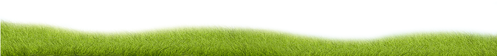 Footer - Lawn (980x243), Png Download