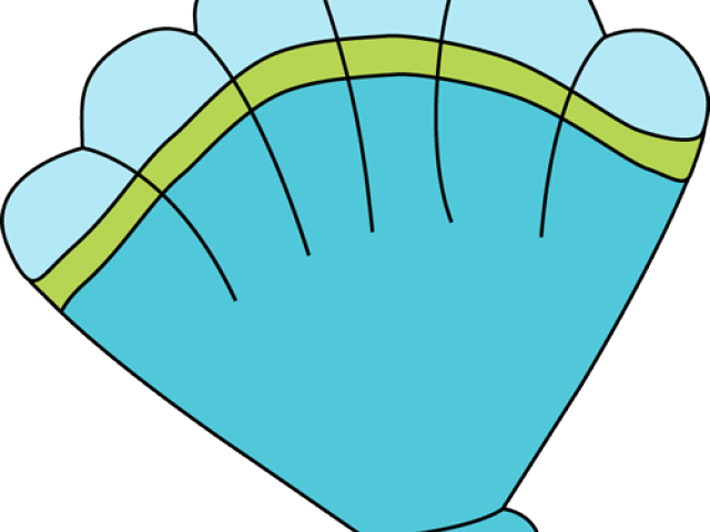 Shells Clipart (640x480), Png Download