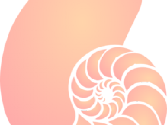 Nautilus Shell Clip Art (640x480), Png Download