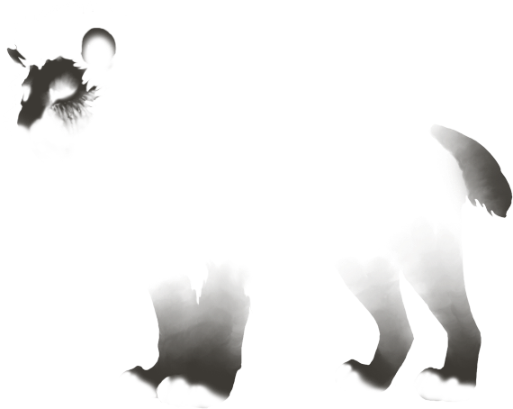 Lion (640x500), Png Download