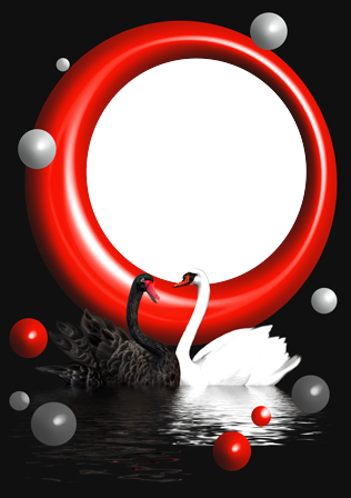Cisnes Blancos Y Negros - German Football Association (316x448), Png Download