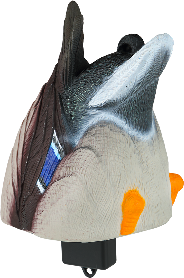 Lucky Duck Quiver Duck Butt Hd Mallard Drake - Duck Decoy (834x1250), Png Download