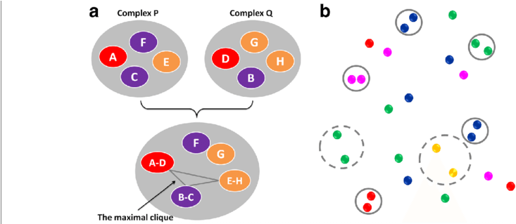 How The Interaction Fingerprints Of Two Complexes Are - Common Fig (850x318), Png Download