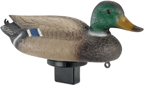 Lucky Duck/edge By Expedite Quiver Duck Drake - Edge By Expedite Quiver Duck Decoy (500x500), Png Download