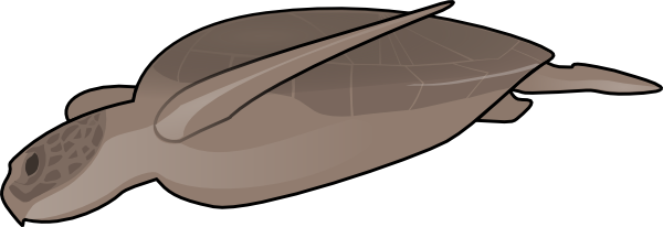 Swimming Turtle Svg Clip Arts 600 X 206 Px (600x206), Png Download