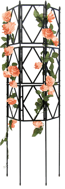Gardening Stand Climbing Vine Plant Climbing Vines - Asian Virginsbower (800x800), Png Download