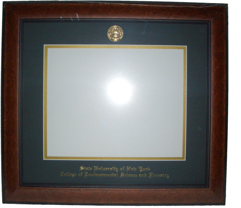 Landsdowne Diploma Frame - Diploma (1024x768), Png Download