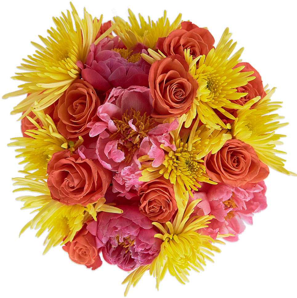 Fruity Pebbles - Floribunda (1000x1000), Png Download