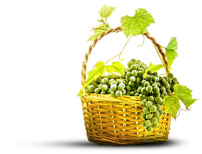 White Wine Grapes In Basket - Basket Png With Leaves (655x499), Png Download