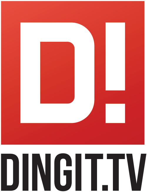 We've Had An Amazing 12 Months, And We've Grown Steadily - Dingit Tv (500x653), Png Download