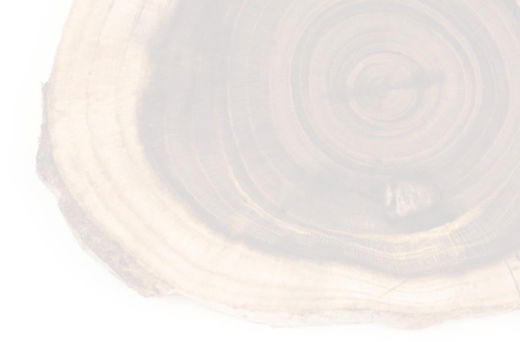 Faded Log - Tree Rings (1024x674), Png Download