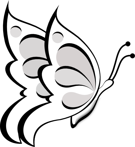 Outline Clip Art Blank At Clker Com - Butterfly Clip Art Outline (552x599), Png Download