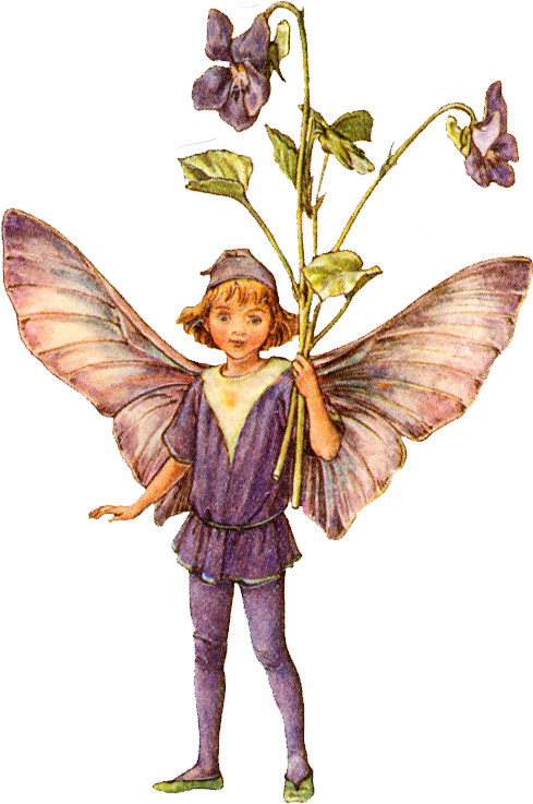 Png Image Information - Flower Fairies One Hundred Postcards By Cicely Mary (488x749), Png Download